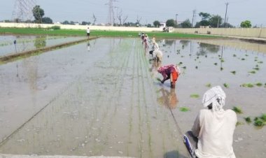 कई राज्यों में बारिश 42 से 53 फीसदी कम, खरीफ सीजन में खाद्यान्न उत्पादन पर पड़ सकता है प्रतिकूल असर