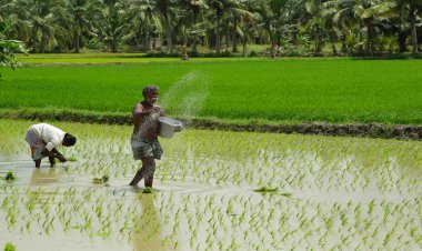 पीएम फसल बीमा योजना राज्य सरकार के अधीन लाने की मांग, किसानों ने कहा उनकी समस्या राज्य सरकारें बेहतर समझती हैं