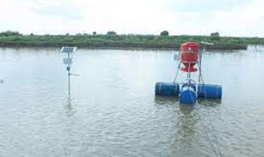 ओमनीवोर ने  एक्वाकल्चर प्रबंधन स्टार्ट-अप इरुवाका को न्यूट्रेको को बेचने की घोषणा की