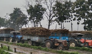 आगामी सीजन के लिए 15 रुपये की वृद्धि  से गन्ने का एफआरपी 305 रुपये प्रति क्विंवटल करने का फैसला