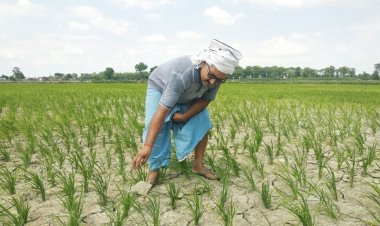 कम बारिश वाले पूर्वी उत्तर प्रदेश के किसानों के लिए आईसीएआर ने  क्रॉप कंटीन्जेंसी प्लान जारी किया
