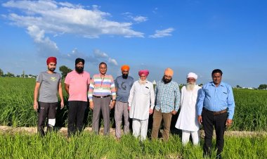 धान का रकबा 31 लाख हैक्टेयर कम रहने और पंजाब, हरियाणा में पौधों के बौनेपन की अनजान बीमारी से  उत्पादन घटने की आशंका बढ़ी