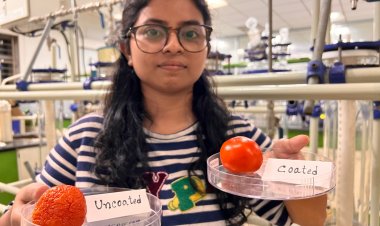 आईआईटी गुवाहाटी ने तैयार की एडिबल कोटिंग, इससे दो  महीने बढ़ सकती है फल-सब्जियों की शेल्फ लाइफ