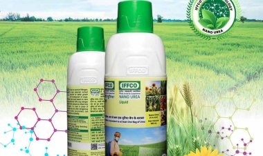 नैनो यूरिया का फोलियर स्प्रे कारगरः आईसीएआर