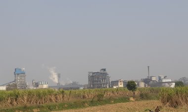 उत्तर प्रदेश में कम उत्पादन के चलते सरकार चीनी निर्यात को 50 लाख टन तक सीमित कर सकती है, जल्द जारी होगी अधिसूचना