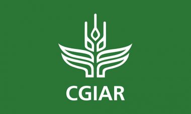 ‘वन सीजीआईएआर’ से विकासशील देशों में खाद्य संकट बढ़ने का खतराः माइकल फाखरी