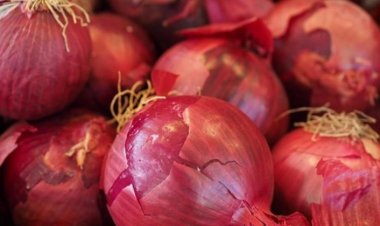इस बार उपभोक्ताओं को नहीं रुलाएगा प्याज, सरकार कर रही है बफर स्टॉक का इस्तेमाल