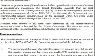 जीईएसी ने दी जीएम सरसों की एनवायरमेंटल रिलीज के लिए सिफारिश