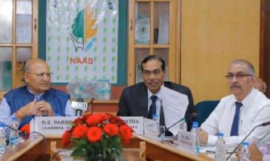 आईसीएआर मौजूदा रबी सीजन में ही  जीएम सरसों का फील्ड डिमांस्ट्रेशन और  ट्रायल  कर सकती है