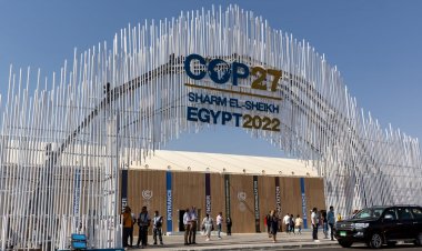 COP27: कृषि क्षेत्र जलवायु परिवर्तन में योगदान करने के साथ उसका शिकार भी है