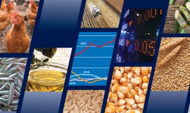 अमीर देश ज्यादा खरीद रहे खाना, लेकिन महंगाई के कारण गरीब देशों की खाद्य खरीद घटी