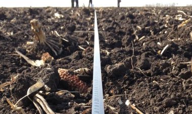 विश्व मृदा दिवस विशेषः दुनिया में एक-तिहाई मिट्टी की उर्वर क्षमता नष्ट, इनमें 70 साल पहले जितने पोषक तत्व नहीं