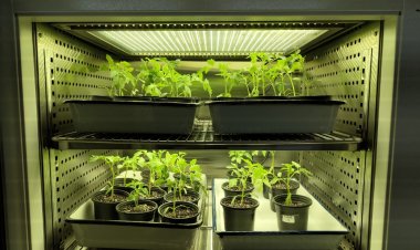 बायोप्राइम® एग्रीसॉल्यूशंस के बायोस्टिमुलेंट्स पोर्टफोलियो को मिली रेगुलेटरी मंज़ूरी