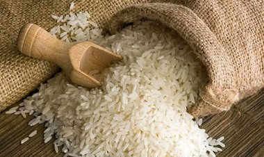 ‘मुफ्त अनाज वितरित करने का फैसला सस्टेनेबल डेवलपमेंट लक्ष्य हासिल करने की दिशा में साहसिक कदम’