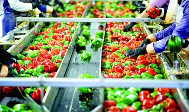 कृषि से संबद्ध क्षेत्रों के लिए बजट आवंटन बढ़ना चाहिएः डेलॉय इंडिया