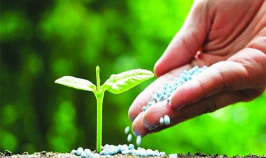 बजट में उर्वरक सब्सिडी घटा सकती है सरकार, लेकिन इससे बाजार में उर्वरकों के दाम बढ़ सकते हैं