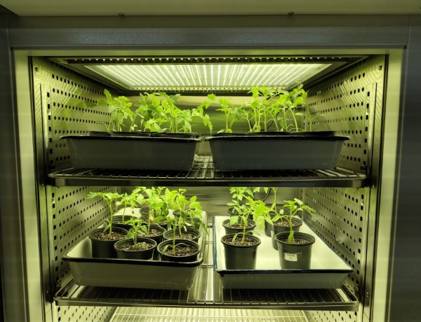 बायोप्राइम® एग्रीसॉल्यूशंस के  बायोस्टिमुलेंट्स पोर्टफोलियो को मिली रेगुलेटरी मंज़ूरी