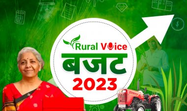 बजट 2023: कृषि क्षेत्र को अपने अमृतकाल का इंतजार
