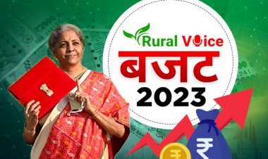 पूंजीगत खर्च में पौने तीन लाख करोड़ रुपये वृद्धि की राशि वित्त मंत्री ने कैसे जुटाई