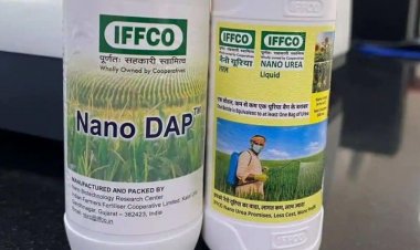 नैनो डीएपी के व्यावसायिक इस्तेमाल को मंजूरी, खरीफ सीजन से पहले शुरू होगी बिक्री, जल्द जारी होगी अधिसूचना