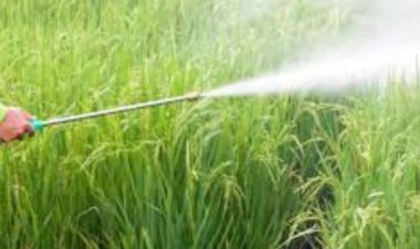 ग्लाइफोसेट की बिक्री से नियंत्रण हटाने की किसान संगठनों ने की मांग, जब तक पर्याप्त पीसीओ न हों बहाल रहे पुरानी व्यवस्था