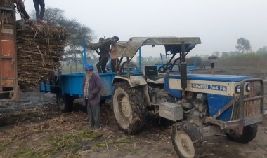 योगी सरकार ने चालू पेराई सीजन के लिए नहीं बढ़ाया गन्ने का मूल्य, छह पेराई सीजन में चार बार गन्ना मूल्य नहीं बढ़ा