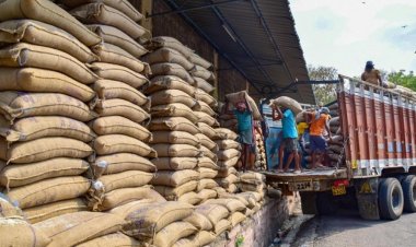 गेहूं-चावल की अगली ई-नीलामी 12 जुलाई को, 4.29 लाख टन गेहूं और 3.95 लाख टन चावल की पेशकश