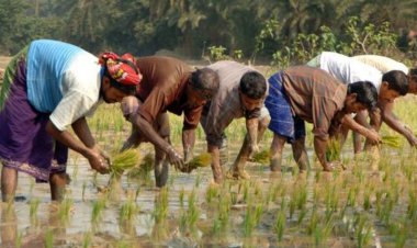 मैन्युफैक्चरिंग क्षेत्र में घटी नौकरियां, कृषि पर  निर्भर लोगों की तादाद 45.5% पर पहुंची