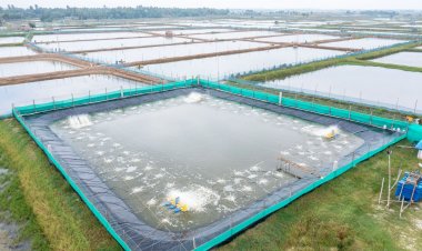 अगली नीली क्रांति की सफलता के लिए चुनौतियों का समाधान जरूरी