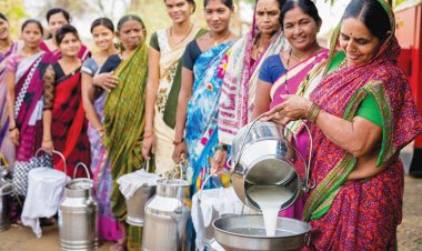 भारत के डेयरी क्षेत्र में  उत्कृष्टता के सपने का रोडमैप