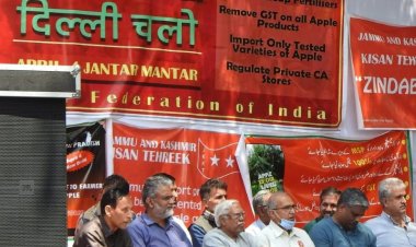 सेब पर 100% ड्यूटी लगाने और सेब उत्पादों से जीएसटी हटाने की उत्पादकों ने की मांग