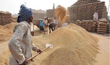 गेहूं की स्टॉक लिमिट के आदेश का पालन करने का राज्यों को केंद्र ने दिया निर्देश