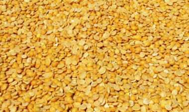 अरहर दाल की 10 लाख टन तक होगी सरकारी खरीद, नेफेड और एनसीसीएफ खरीदेंगे