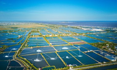 Aquaculture: अगली नीली क्रांति की राह आसान करेगा  डिजिटाइजेशन