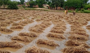 जलवायु परिवर्तन से हो जाएं सावधान