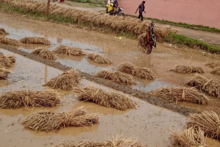 तालाब में तब्दील हुआ खेत