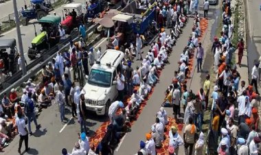 हरियाणा के सूरजमुखी किसान क्यों कर रहे हैं प्रदर्शन, दिल्ली से भी बड़े आंदोलन की टिकैत ने दी चेतावनी