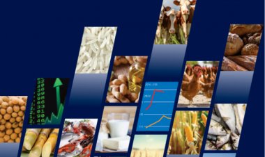 FAO फूड आउटलुकः दाम अधिक होने के कारण इस वर्ष अल्प विकसित और विकासशील देशों में खाद्य पदार्थों की मांग घटेगी