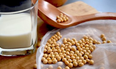 इंदौर में 22 जून से दो दिवसीय अंतरराष्ट्रीय सोया खाद्य सम्मेलन का होगा आयोजन