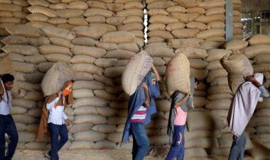 अनाज की वैश्विक खपत 1.1% बढ़ने, लेकिन ग्लोबल ट्रेड 1.8% घटने का अनुमान