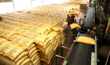 सल्फर कोटेड यूरिया की अब होगी बिक्री, मार्च 2025 तक नहीं बढ़ेंगे यूरिया के दाम