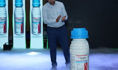 सिंजेंटा इंडिया ने पेश किए दो नए कीटनाशक, धान, कपास और सब्जियों को कीटों से मिलेगी प्रभावी सुरक्षा