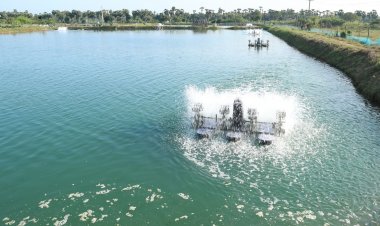 मछली उत्पादन पर पर्यावरणीय अनिश्चितताओं और नियामकीय जोखिम का अगले दस साल में पड़ सकता है असर