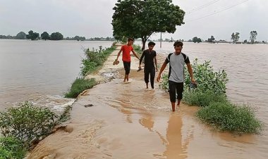 खरीफ फसलों का उत्पादन प्रभावित होने की बढ़ी आशंका, एक तरफ बाढ़ तो दूसरी तरफ सुखाड़ का प्रकोप