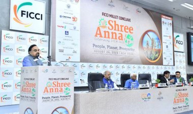 मिलेट्स क्षेत्र में बढ़ रही स्टार्टअप्स की भागीदारी, डेढ़ साल में 80 से ज्यादा स्टार्टअप्स ने रखा कदम