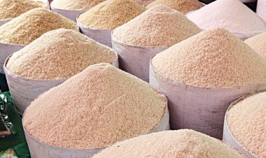 बासमती चावल के नाम पर गैर-बासमती सफेद चावल का अवैध निर्यात रोकने को सरकार ने उठाया कदम