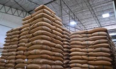 एफसीआई की पिछली ई-नीलामी में 1.66 लाख टन गेहूं की हुई बिक्री, चावल के लिए सिर्फ 17 हजार टन की लगी बोली