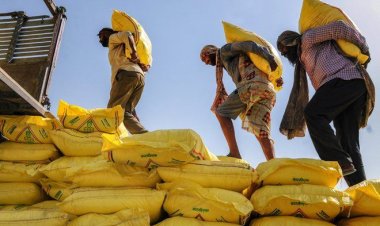 आखिर प्राकृतिक खेती को क्यों बढ़ावा दे रही सरकार?