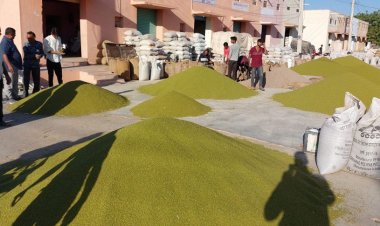मूंग का भाव 10 हजार रुपये क्विंटल पर पहुंचा, चना और अरहर भी हुए तेज