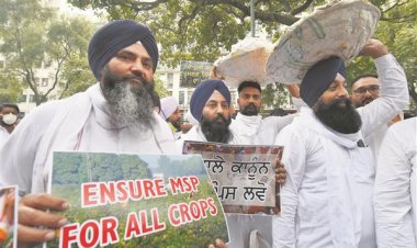 एमएसपी कमेटी के किसान सदस्यों की राय- फसलों की रिजर्व प्राइस को कानूनी मान्यता और सीएसीपी को वैधानिक दर्जा मिले